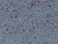 Линолеум Tarkett коммерческий гомогенный коллекция IQ Megalit Graphite Blue 0623