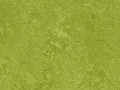Натуральный линолеум 3247 green (Forbo Marmoleum Fresco)